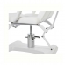 Mobilier Salon - Pat cosmetic si masaj cu pompa hidraulica 